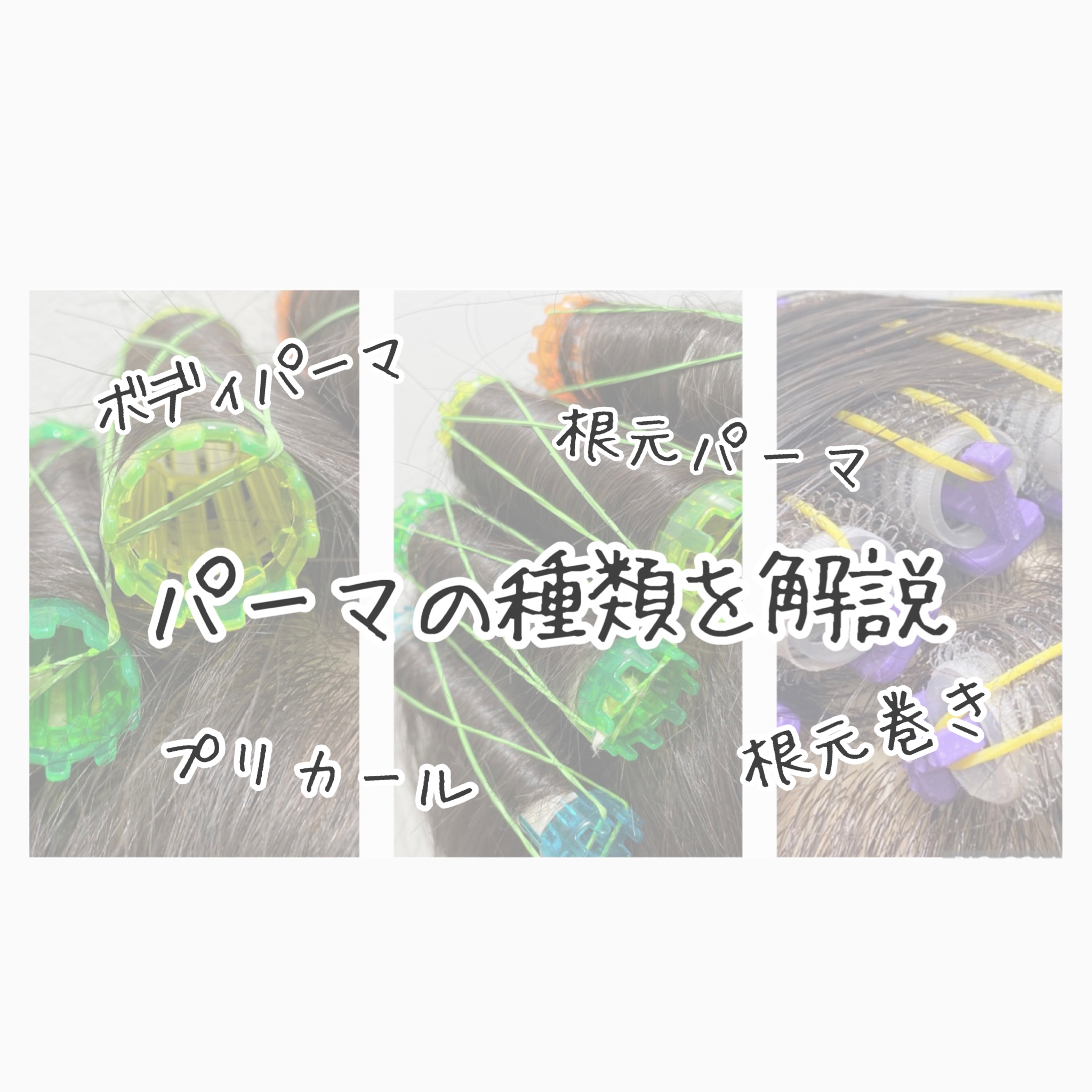 違いわかりますか 根元パーマとプリカールそしてボディパーマ わかりやすく解説します 公式 働く大人の美容室 Turn Tokyo 表参道 青山